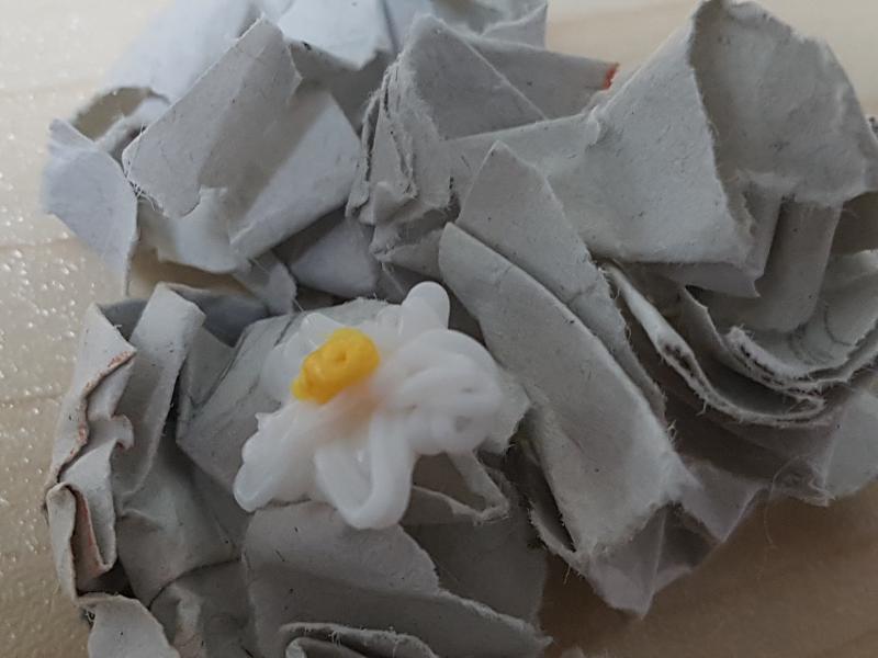 레필리아 쓰레기더미에서 자라는 작은 하얀색이 대부분이며 노란 레필리아는 희귀해 비싼 값에 유통된다 생김새가 가다 보이는 꽃들과 비슷해서 구분하는 어려움이 있으나 레필리아는 오직