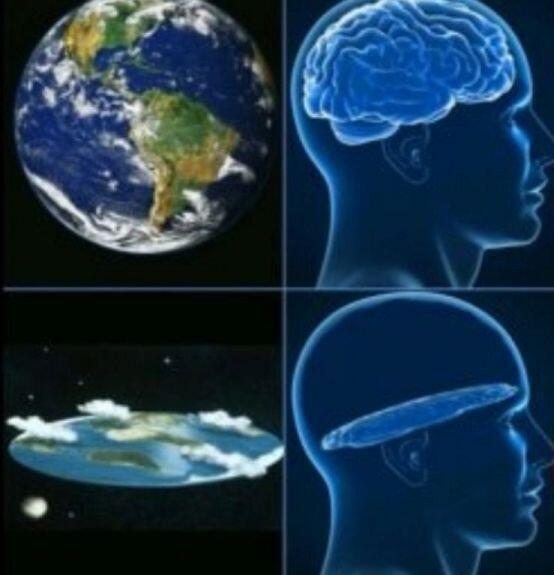 인간의 뇌는 평평해 이게 증거야 지구는 둥글다고 무슨소리 평평하다구