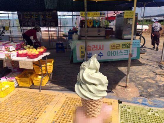 경기도 시흥시 연꽃테마파크에 있는 아이스크림 아니