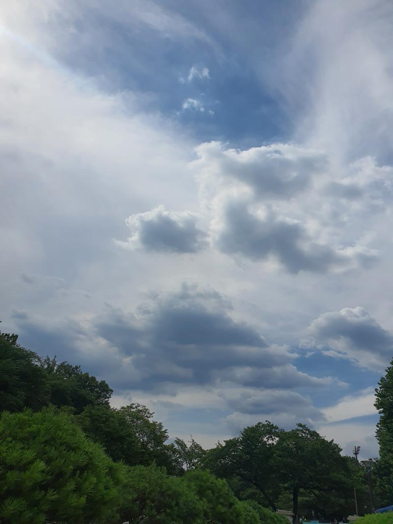 예를 들어 이런 하늘 이나 인상주의 그림에서 나오는 하늘 풍경 보면 환장함 사진은 오린이 대공원에서 찍은거임 하늘 덕후라 하늘 예쁘다 싶으면 바로 카메라 들어