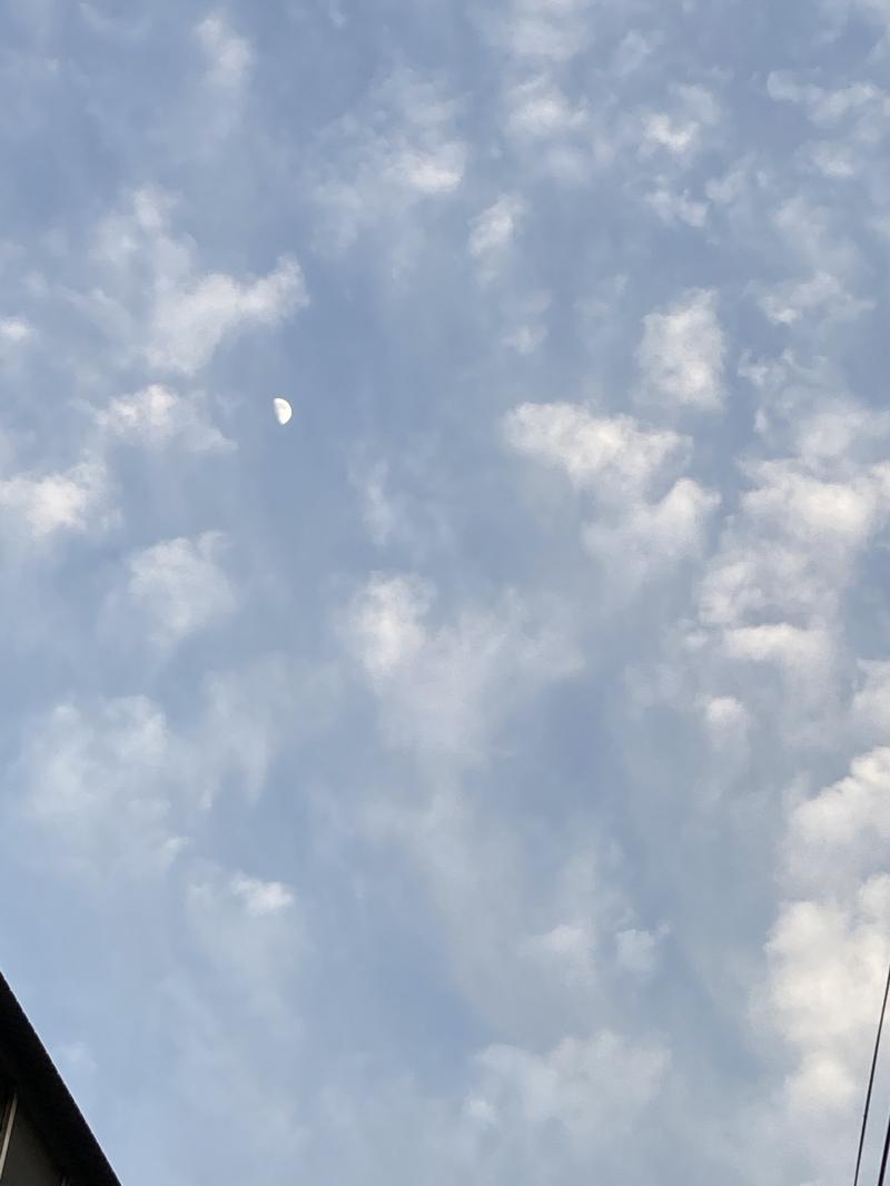 오늘 구름과 달이 너무 예뻤어 보정 하나도 날것 그대로의 사진인데 보정 하는 레더들 있으면 보정 부탁해도 될까 엄청 힐링됐다