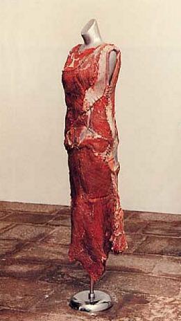 작가 야나 스테르박 제목 식욕이 없는 백인을 위한 고기 드레스