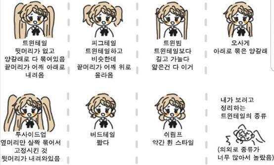 파란색 오사게 트윈빔....!