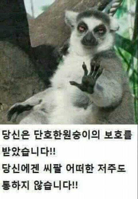 후후 더는 이 비버를 얕보지 말라