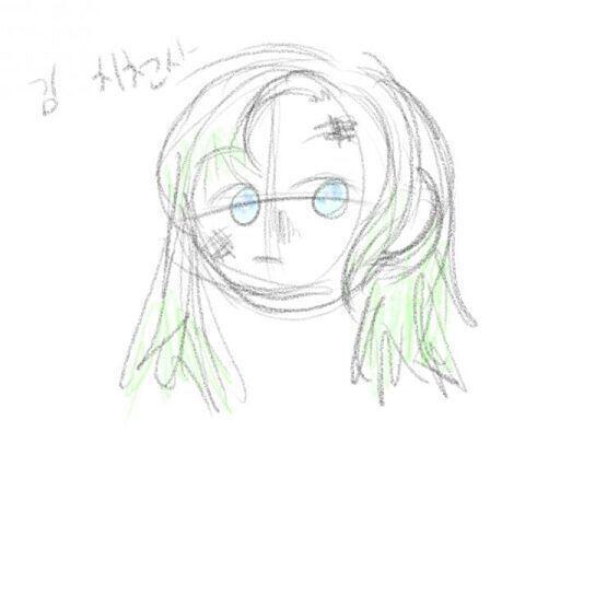 이건 내 멋대로 그린 김 치전사.. 걍 흘려줘 머리색 무색이라길래 그냥 무우색으로 칠했고.. 눈은 유명한 투리구슬이라길래.. 걍 멋대로 한거야
