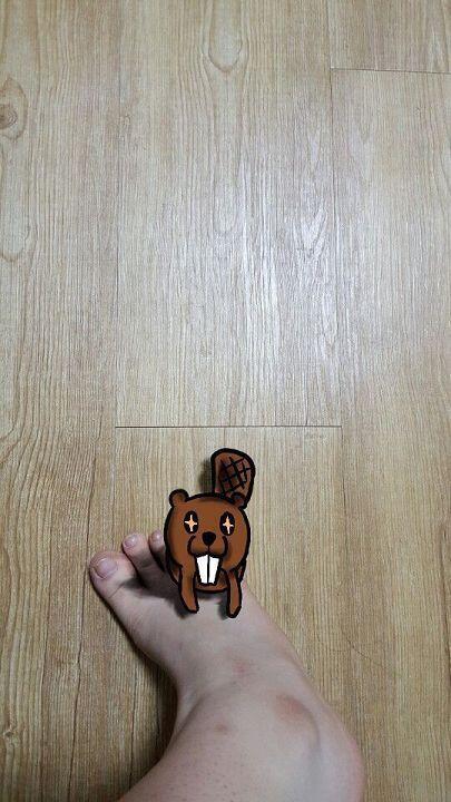 이런 눈빛으로 바라보길래 너무 귀여워서 찍어버림