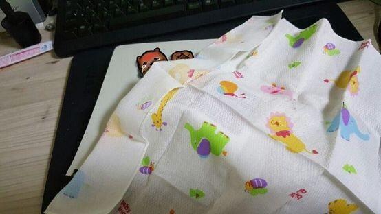 일단 비버가 아파보이길래 손수건을 이불 대신 덮어줬어... 그래도 열도 나고 많이 아파보인다...
