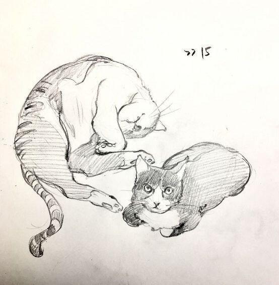 >>15 음..정말 고양이를 그리면 되는거겠지? 모델은 친구가 키우는 치즈냥이 신청해줘서 고마워