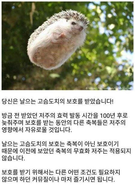 ㅋㅋㄲㅋㄲㅋㄲㅋㅋ이게 뭐람