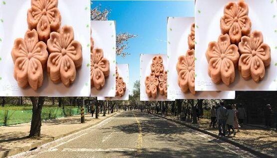 후... 전부 설치했다! 후후후 벚꽃을 보러 가다 벚꽃폭빵을 보고 빵에 흥에겨울 모습이 눈에 훤하군! 자! 보아라! 먹어라! 폭빵해라! 이것이