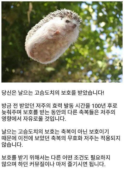 >>22 중복이지만 뭐 어때