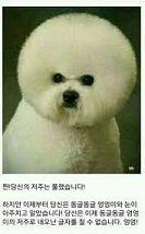 하하! 나는 동그란 글자 쓸 수 있다!! 네오네오 엉웅이 따위 안 우섭다고! ...? 젠장! 동글동글 엉엉이야!