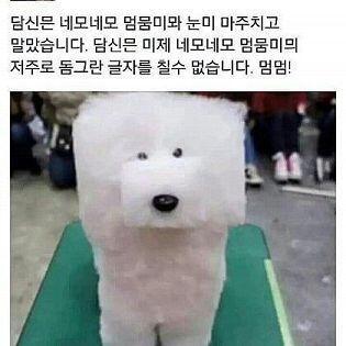 나는 이런 낚시에 걸린 하찮은 비버입니다 꺼이꺼이 그래서 가지고 왔다 이것을