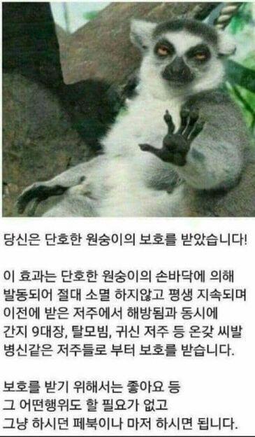 대머리화 돼고있지만 나는 대머리가 되지않아
