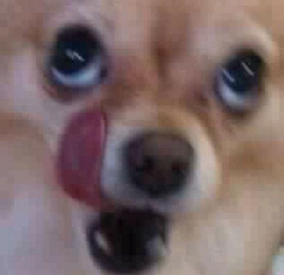 ㅔㅔㅔㅔㅔ에ㅔ에ㅔㅔㅔㅔㅔㅔㄹㄹㄹ