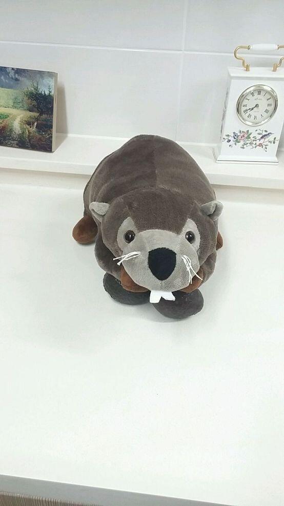 >>7 >>3이야. 우리집 빕자민 쨩을 소개하지 후후후. (아보카도를 잡고 있는 빕자민쨩, 외눈이를 밟고 있는 빕쨩) 앵커는 라떼시에.