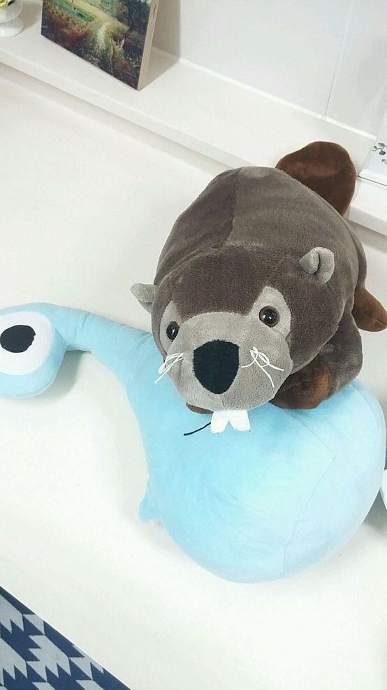 >>7 >>3이야. 우리집 빕자민 쨩을 소개하지 후후후. (아보카도를 잡고 있는 빕자민쨩, 외눈이를 밟고 있는 빕쨩) 앵커는 라떼시에.