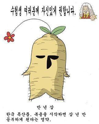 난데없이 나타난 만년삼 무리 참고로 만년삼은 이렇게 생겼어(↑)