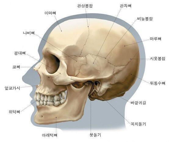 >>8 네이버 사전에 검색해면 뜨긴 해