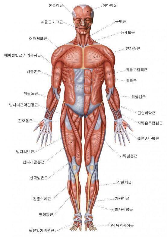 >>8 네이버 사전에 검색해면 뜨긴 해