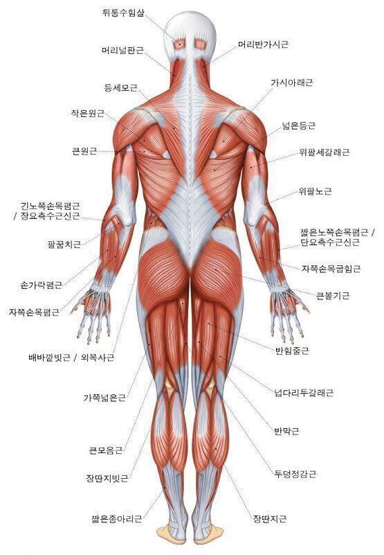 >>8 네이버 사전에 검색해면 뜨긴 해