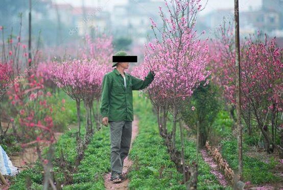 루인의 허락을 받아낸 뒤, 나는 복숭아 꽃 정원의 안으로 곧장 들어가였다. 그녀도 내 뒤를 천천히 뒤따라왔다. 그렇게 둘이서 정원에 흐드러지게