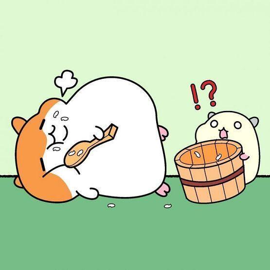 햄스터는 투디도 사랑입니다.♡ 뚱햄조아
