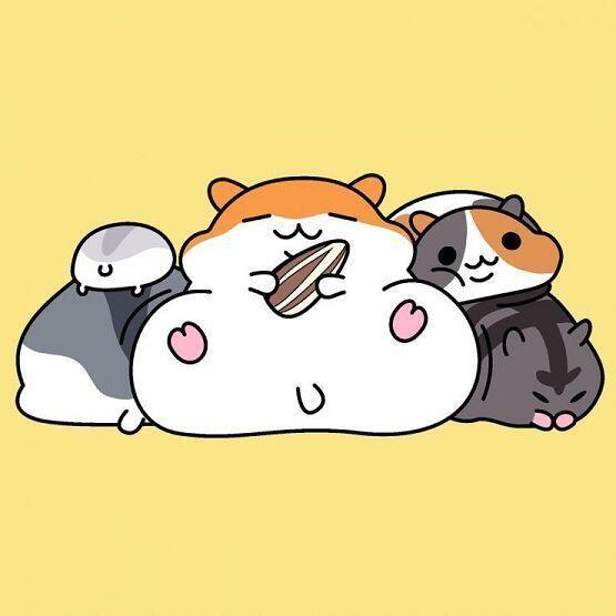 햄스터는 투디도 사랑입니다.♡ 뚱햄조아