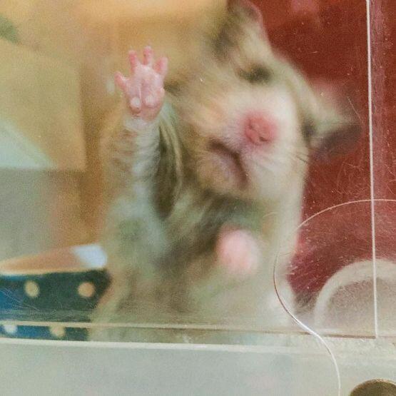 소오오오오온!!!!
