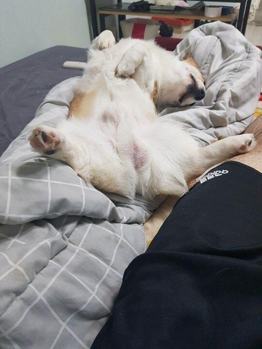 보너스로 짜루의 손자 개꿀사진 투척