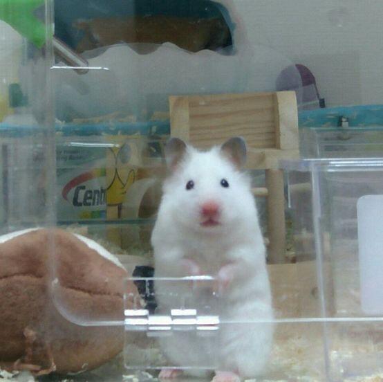 ? 뭐