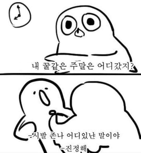 일요일 저녁에