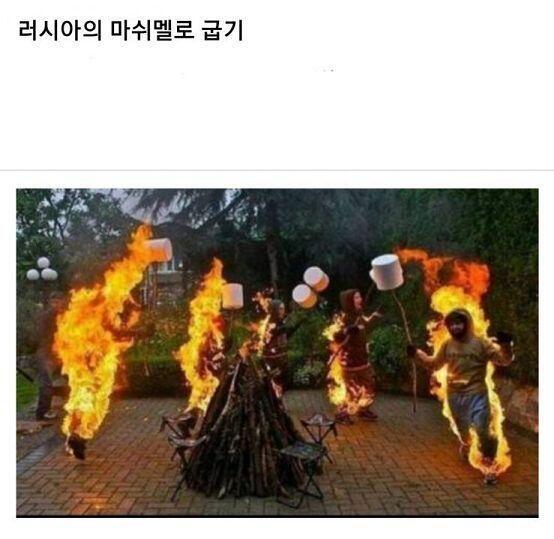 모닥불이라면 역시 마시멜로지.