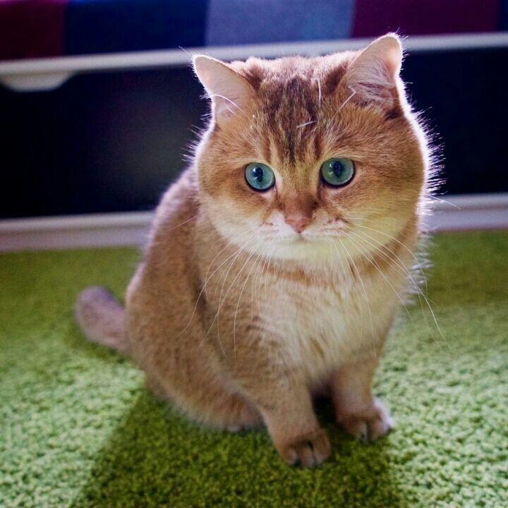 모닥불 앞에서 함께 힐링~