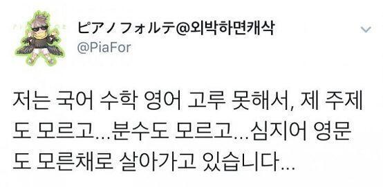 저는 국어 수학 영어 다 못해서