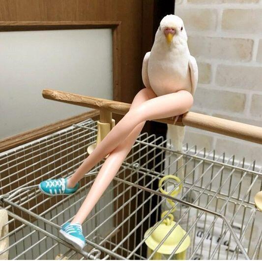 요염