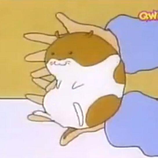 귀여웡