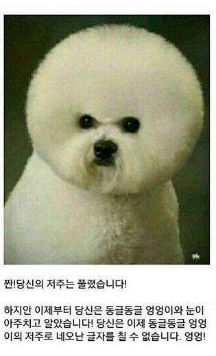 에잇 ㅋㅋㅋ