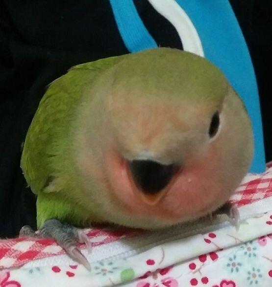 +