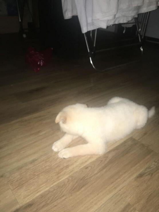 얜 데 더 필요하면 보내줄게
