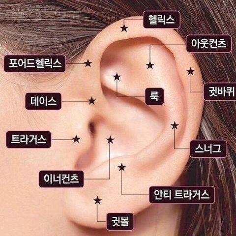 귀 뚫는거 위치 참고..
