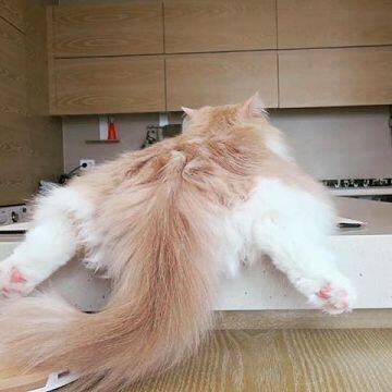 뀻