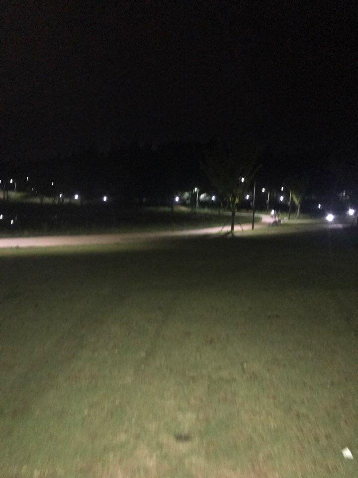이것보다는 내가 온 곳은 물이랑 가까운 길이랑 폭이 좀 더 짧았고 풀을 이렇게 똑같은 얕았는데 이것보단 조금 더 높았어