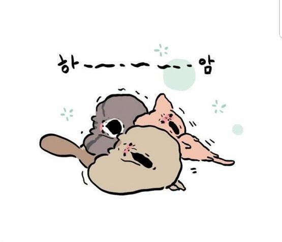 이건 고양이 사진은 아니고 레진에서 하는 주먹꾹이라는 웹툰이야! 여기 나오는 고양이들 엄청 귀여워!!