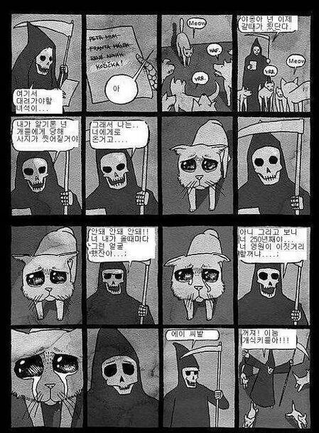 이런 맘약한 성격 너무 귀여워ㅋㅋㅋㅋ