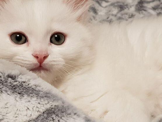 우리 애긔♡
