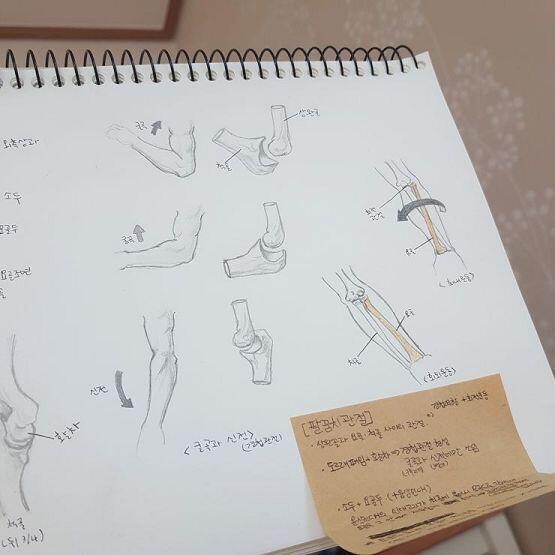 180718 수요일 아침을 여는 흥미로운 팔꿈치관절의 운동! 이것도 나름 고른거지만 지금 책은 막상 공부하기 시작하니까 좀 불만족스럽다. 그래서