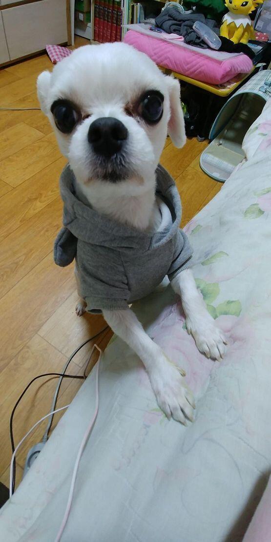 >>6 테오왈: 후훗 고맙소 이몸의 사진을 한번 더 두고 가니라!