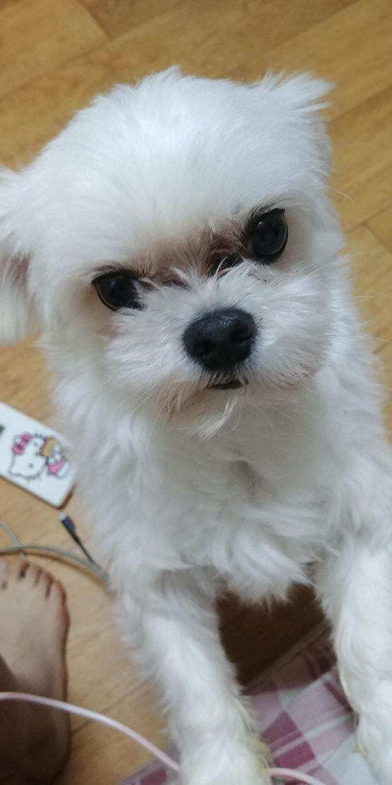우리집 대표 얼짱 테오사마