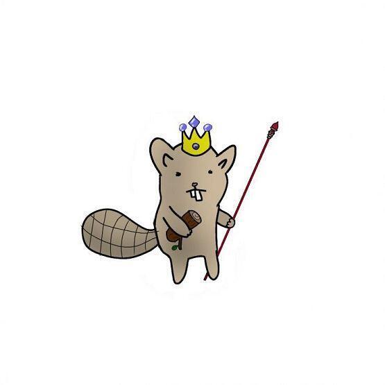 킹 오브 비버